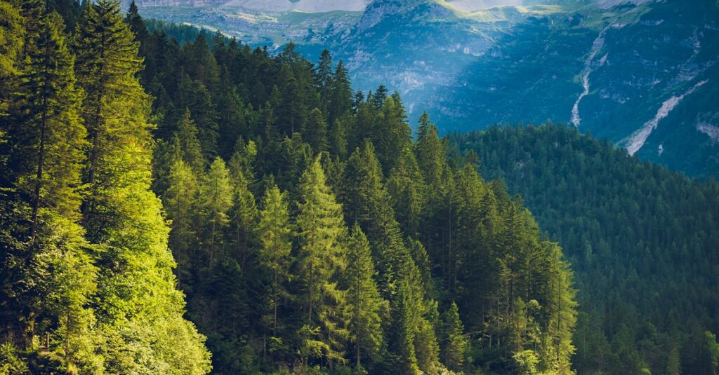 Peaceful alpine landscape featuring a serene lake with mountain and forest reflections.